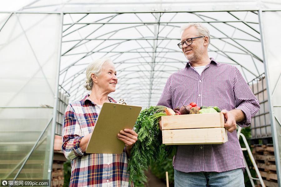农业,园艺,收获人的资深夫妇与盒蔬菜剪贴板农场温室